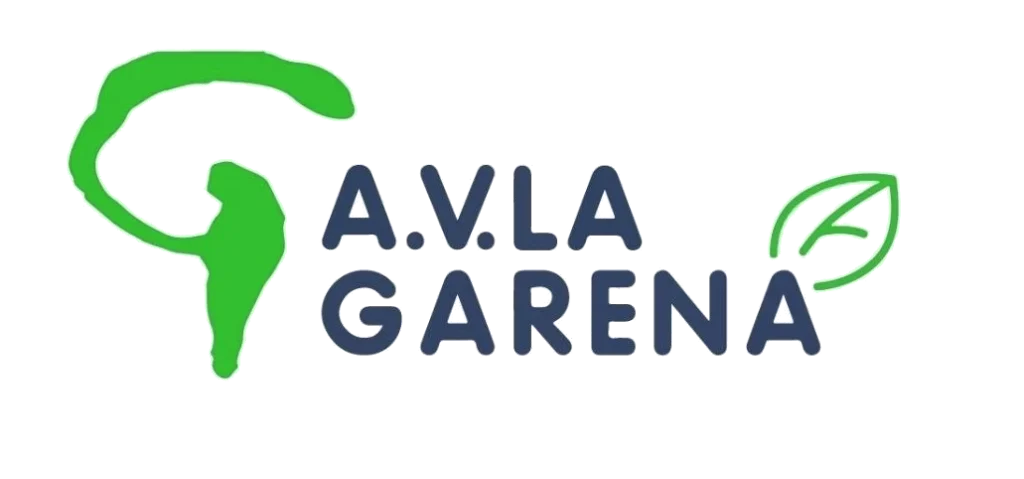 logo-av