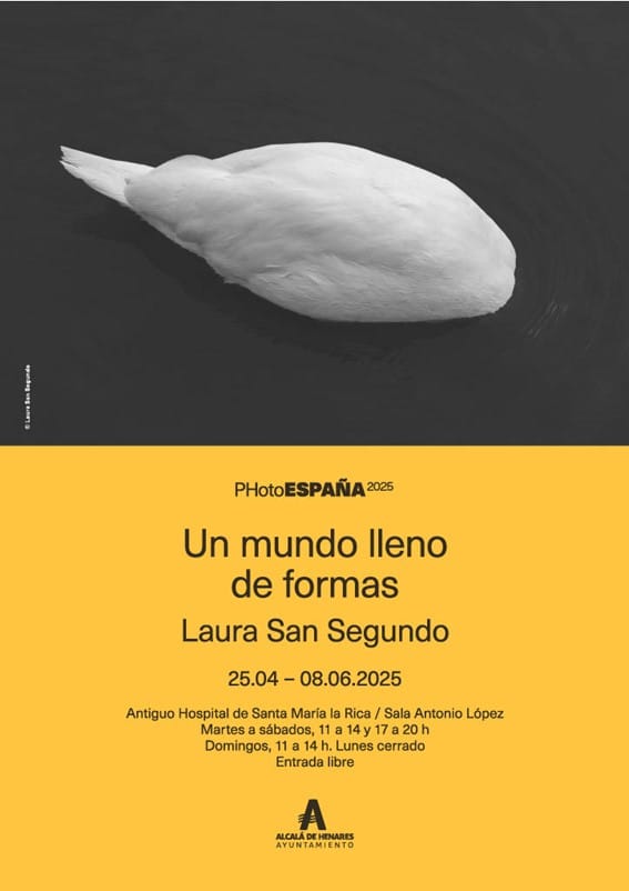 Cartel de Un mundo lleno de formas, exposición de Laura San Segundo